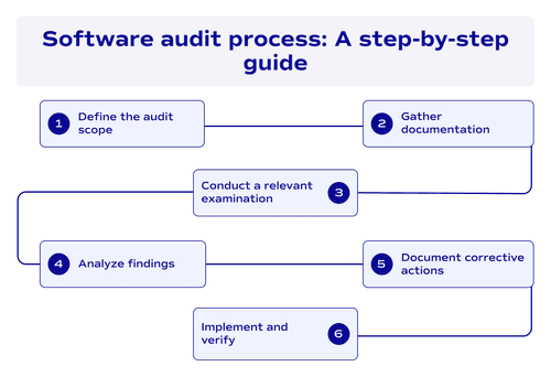 Software audit process