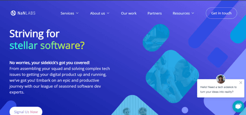 NaNLABS as one of the top IT services companies
