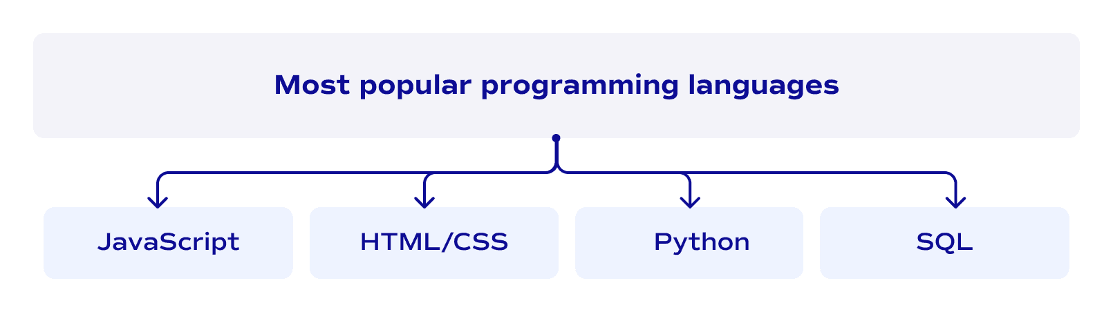 Most popular programming languages for custom software development