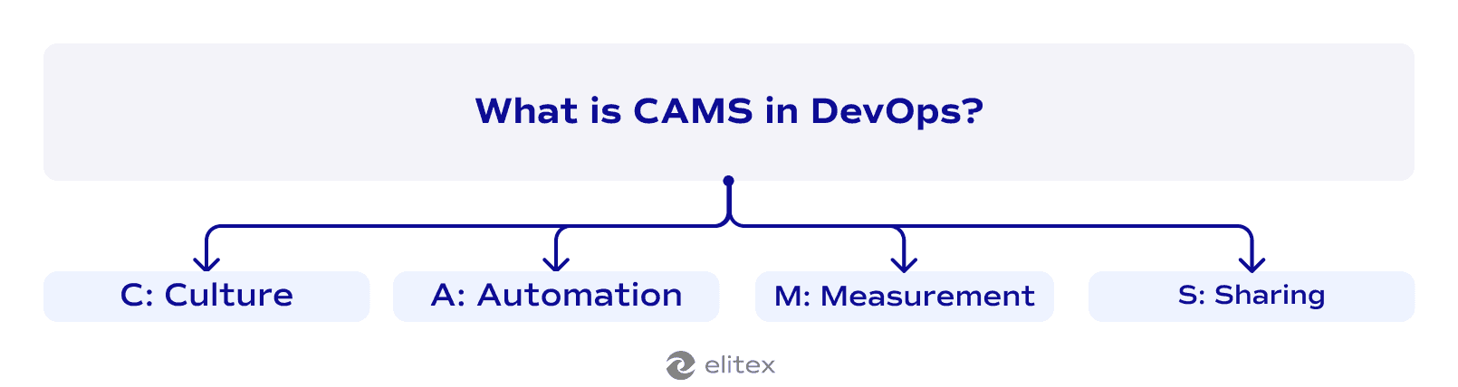 What is CAMS in DevOps?