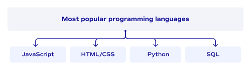 Most popular programming languages for custom software development