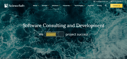 ScienceSoft as one of the top IT services companies in the world