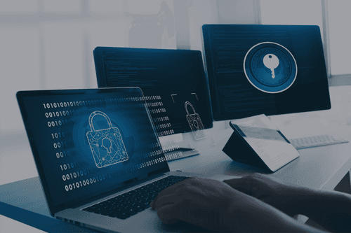 How to Secure Your Web Application from Common Web Vulnerabilities, ELITEX, main photo