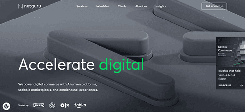 Top MVP development companies in the USA by ELITEX, 7. neguru