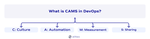 What is CAMS in DevOps?