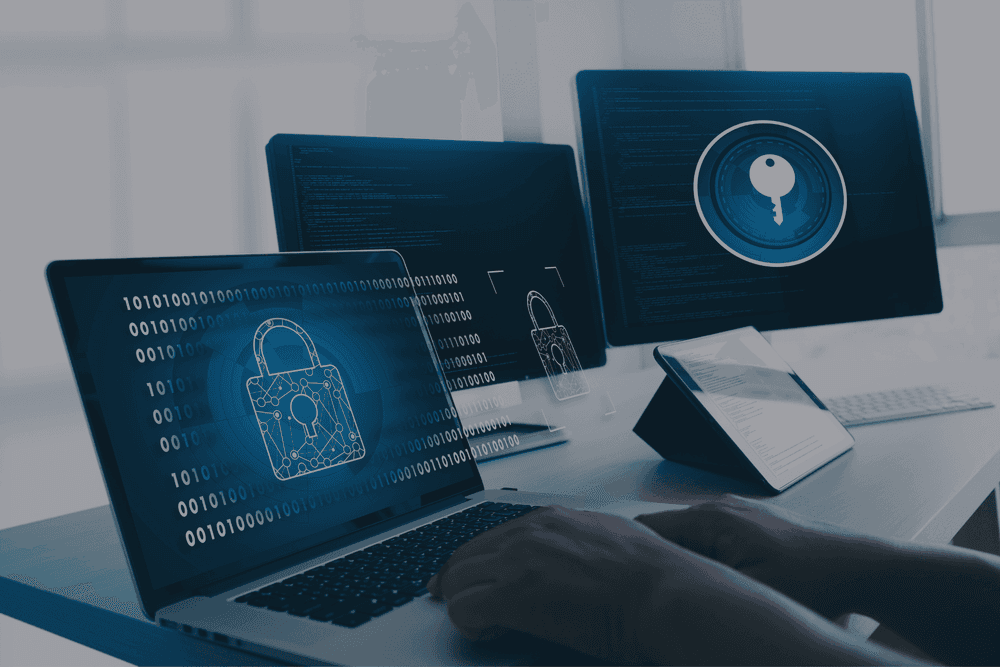 How to Secure Your Web Application from Common Web Vulnerabilities, ELITEX, main photo